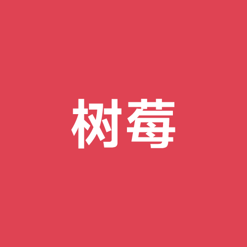 logo2 树莓 (2)